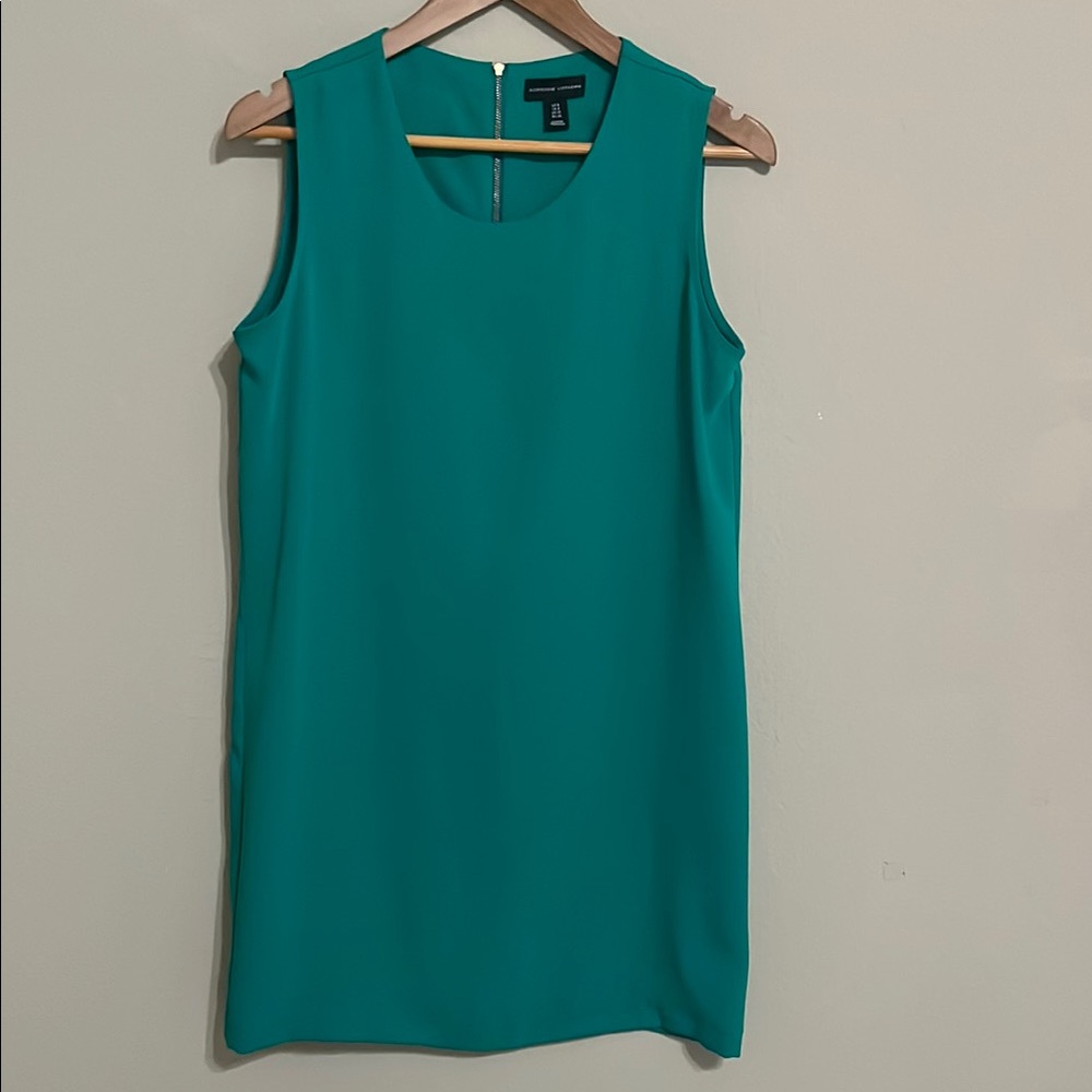 Adrienne Vittadini Sleeveless Sheath Shift Dress. Size 6